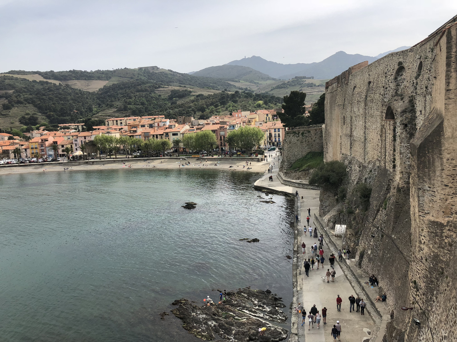 Picture France Collioure 2018-04 266 - Trail Collioure