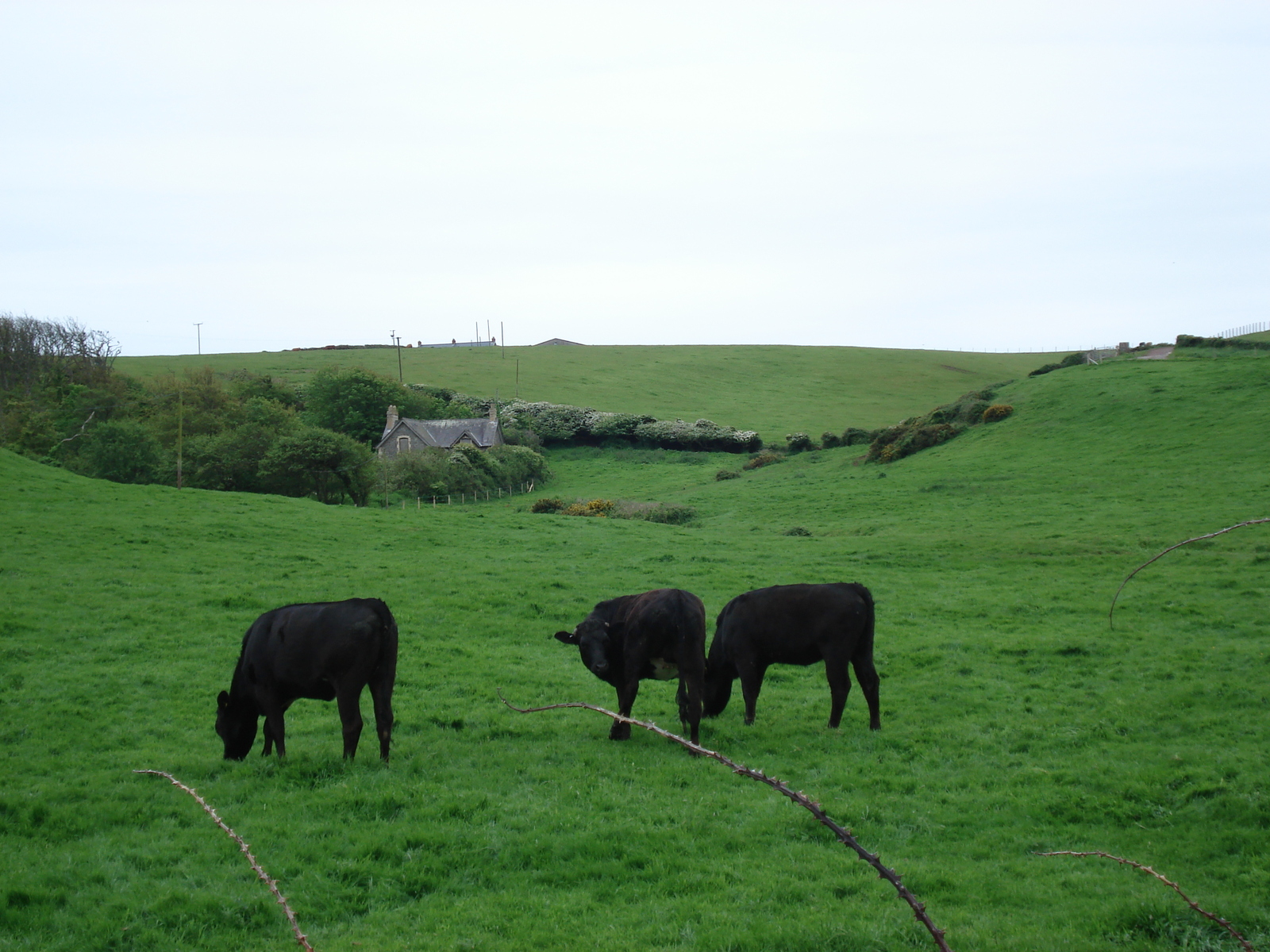 Picture United Kingdom Pembrokeshire Dale 2006-05 8 - Views Dale