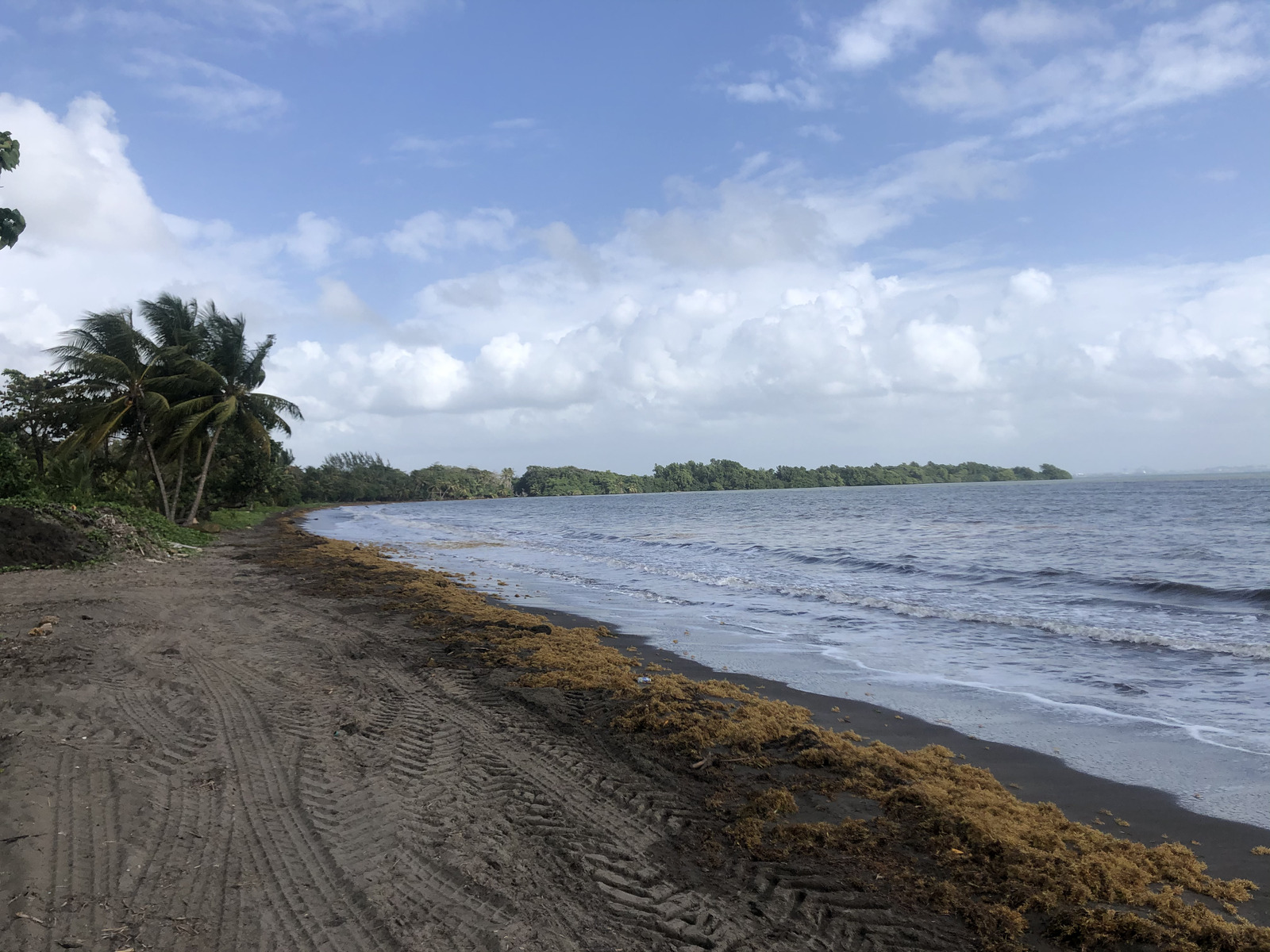 Picture Guadeloupe Viard Beach 2021-02 0 - Perspective Viard Beach