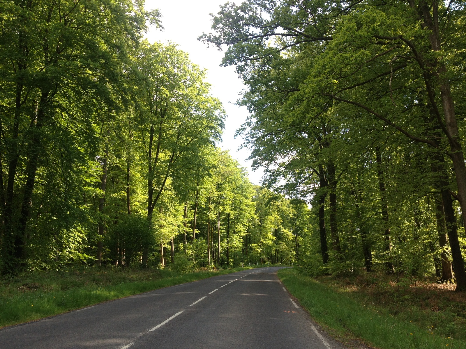 Picture France Lyons La Forêt 2014-05 88 - Car Lyons La Forêt