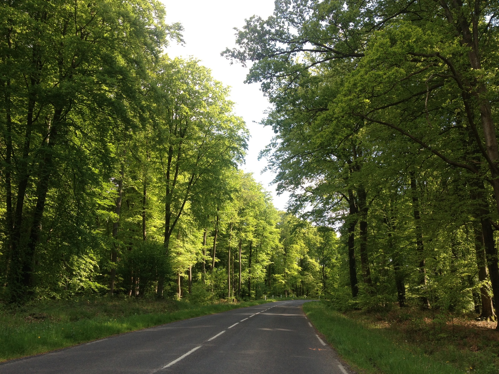 Picture France Lyons La Forêt 2014-05 87 - Trip Lyons La Forêt