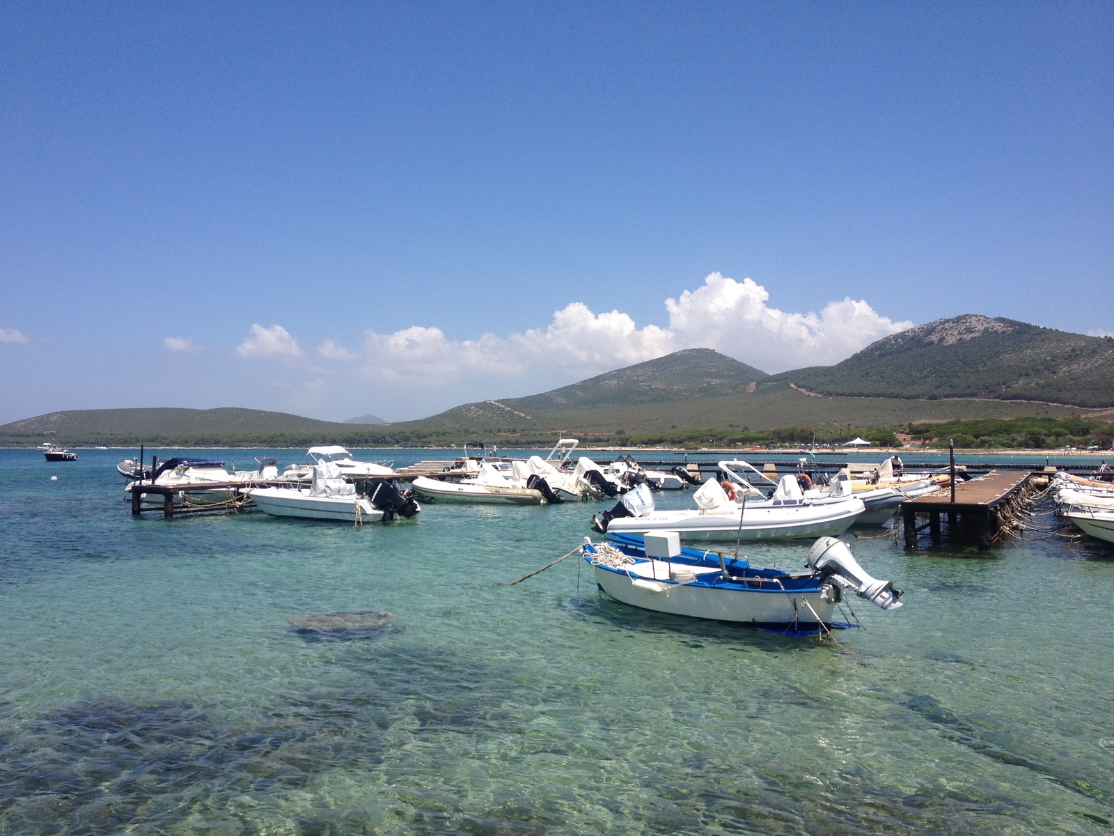 Picture Italy Sardinia Alghero 2015-06 46 - Discover Alghero