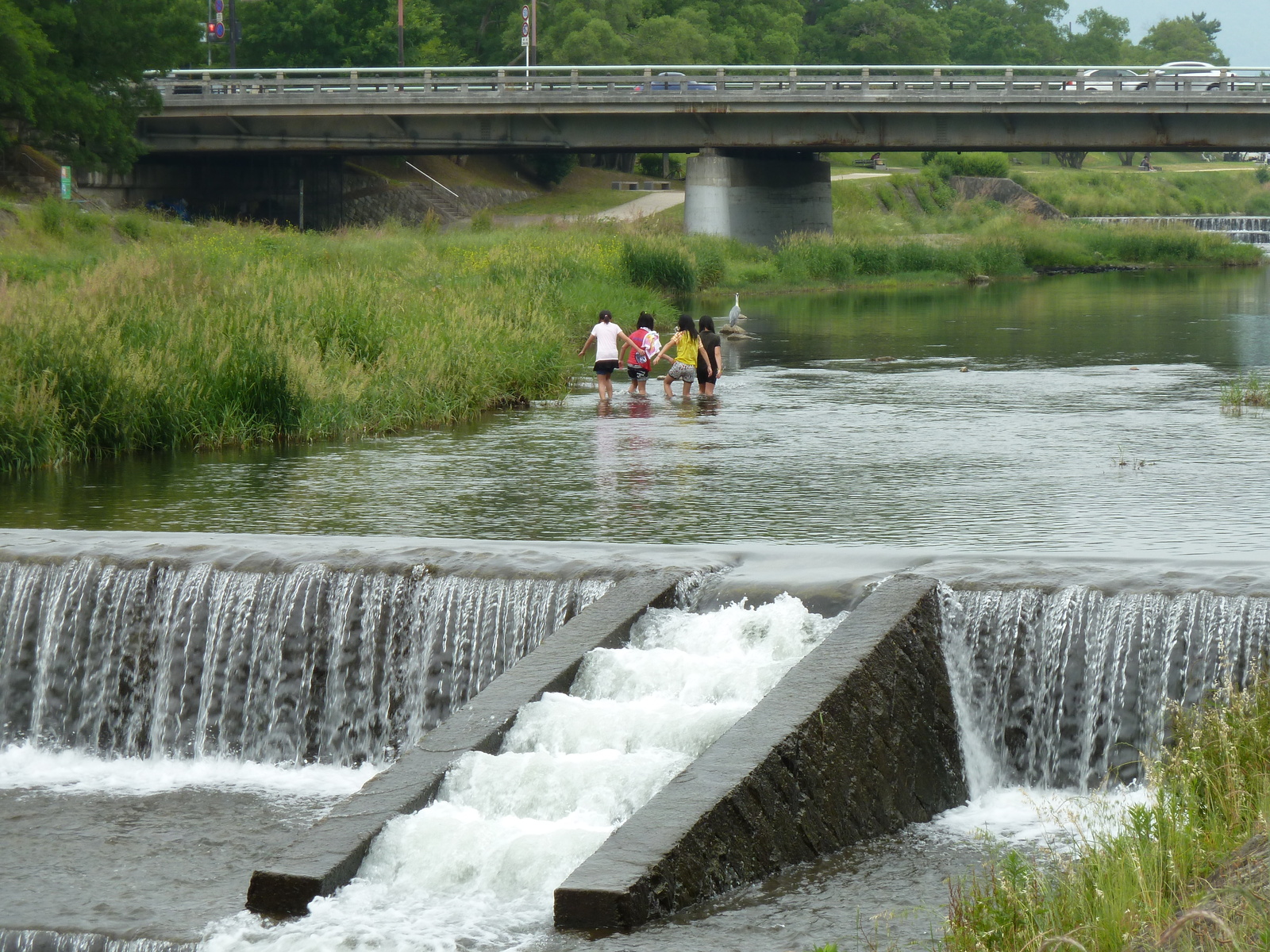 Picture Japan Kyoto Kamo River 2010-06 26 - Randonee Kamo River