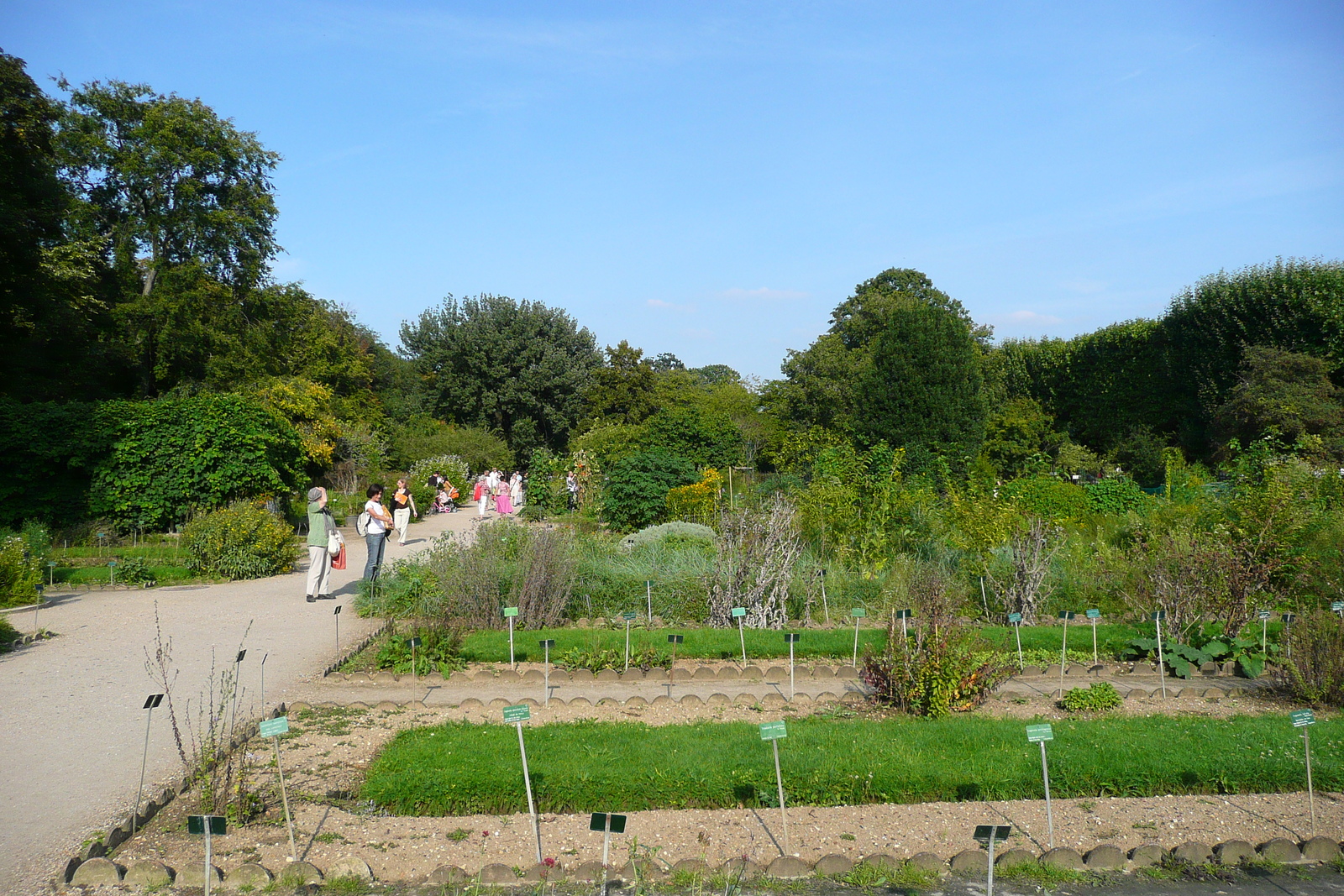 Picture France Paris Jardin des Plantes 2007-08 96 - Perspective Jardin des Plantes