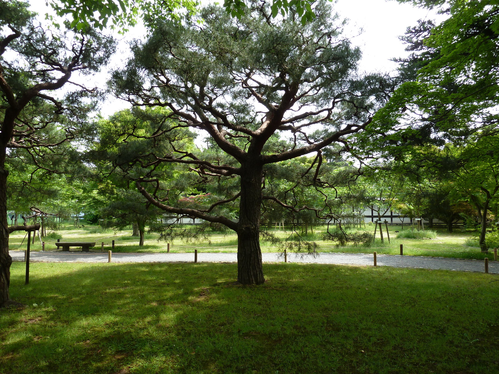 Picture Japan Kyoto Nijo Castle 2010-06 25 - Sightseeing Nijo Castle