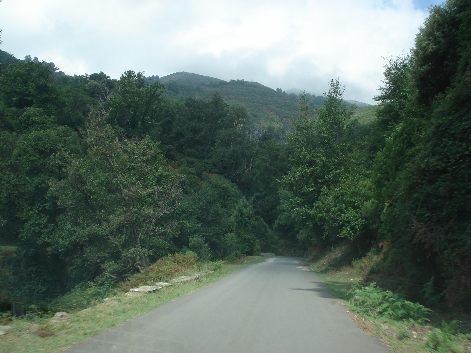 Picture France Corsica Valle d'alesani 2006-09 57 - Road Map Valle d'alesani