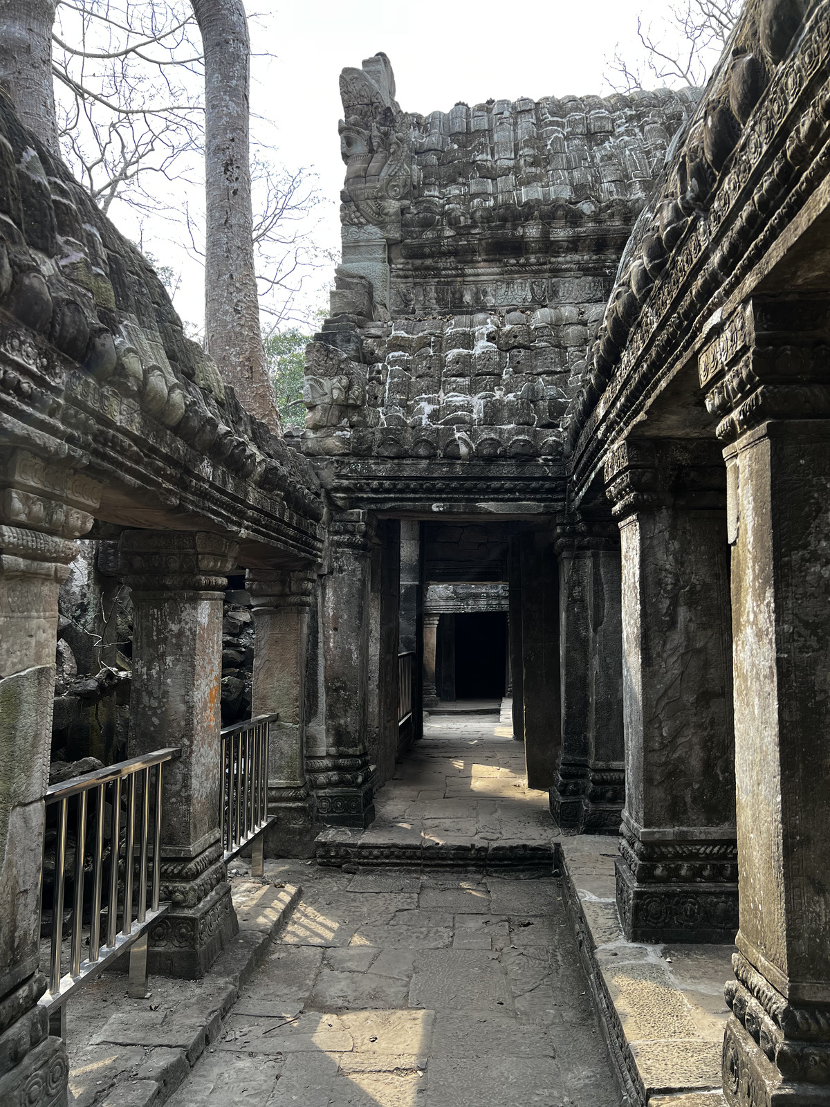 Picture Cambodia Siem Reap Ta Prohm 2023-01 136 - Picture Ta Prohm