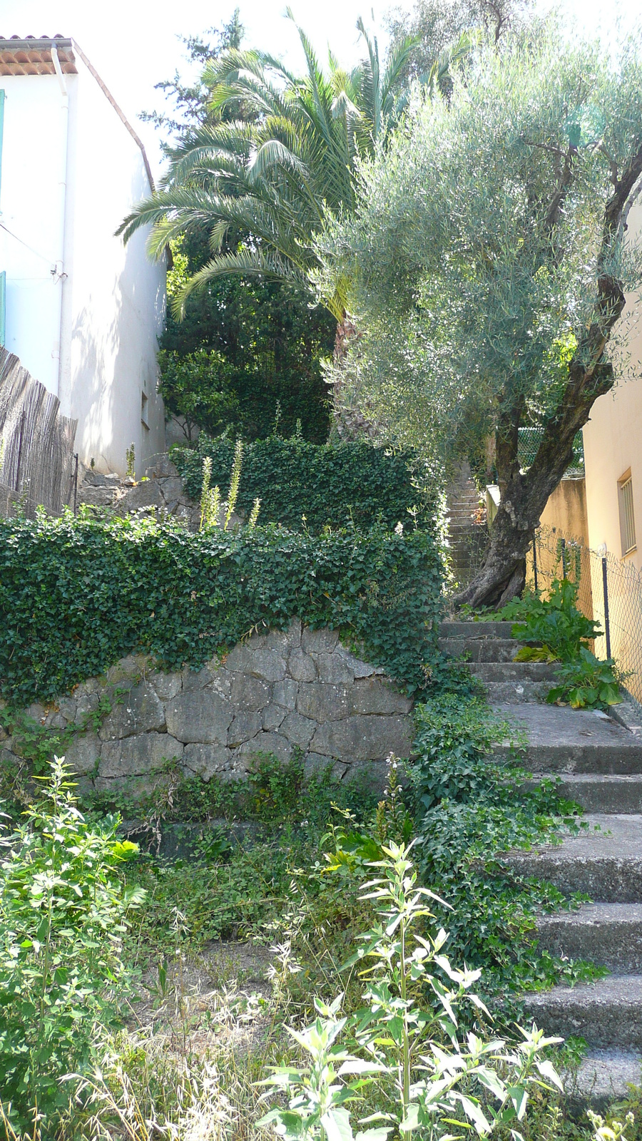 Picture France Vence Vence West 2007-07 75 - Visit Vence West