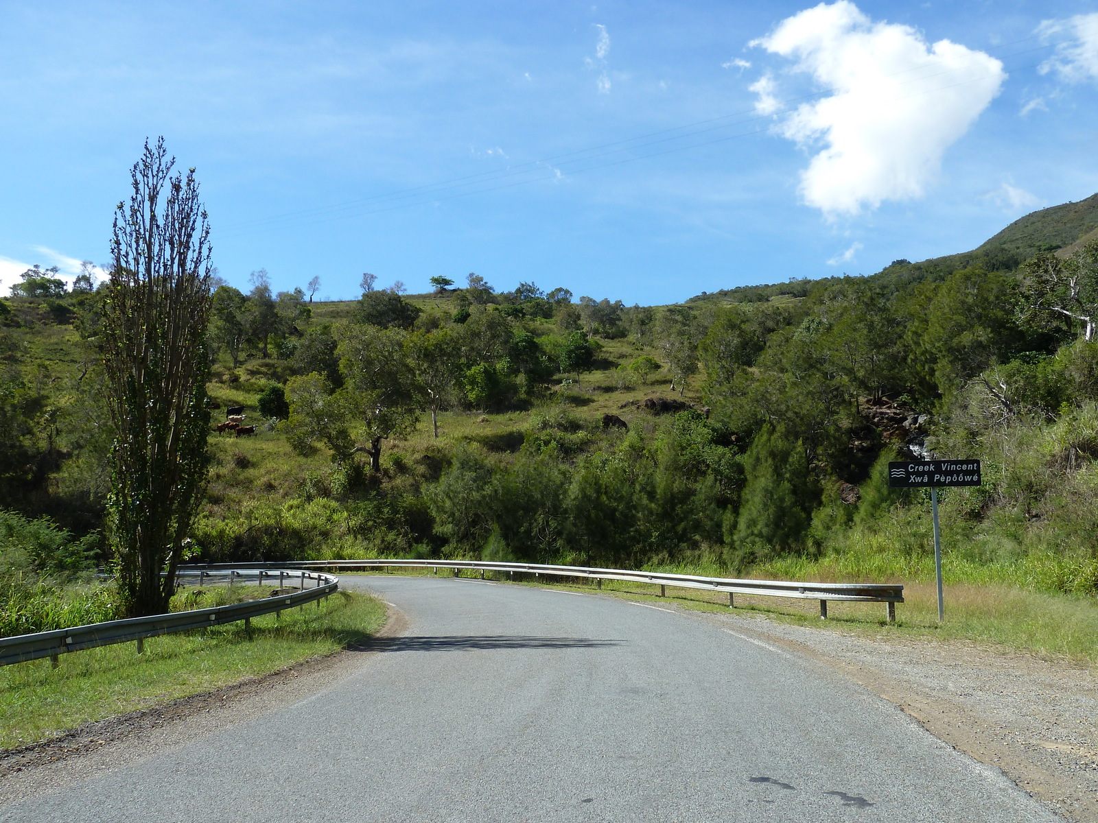 Picture New Caledonia Tontouta to Thio road 2010-05 14 - Visit Tontouta to Thio road