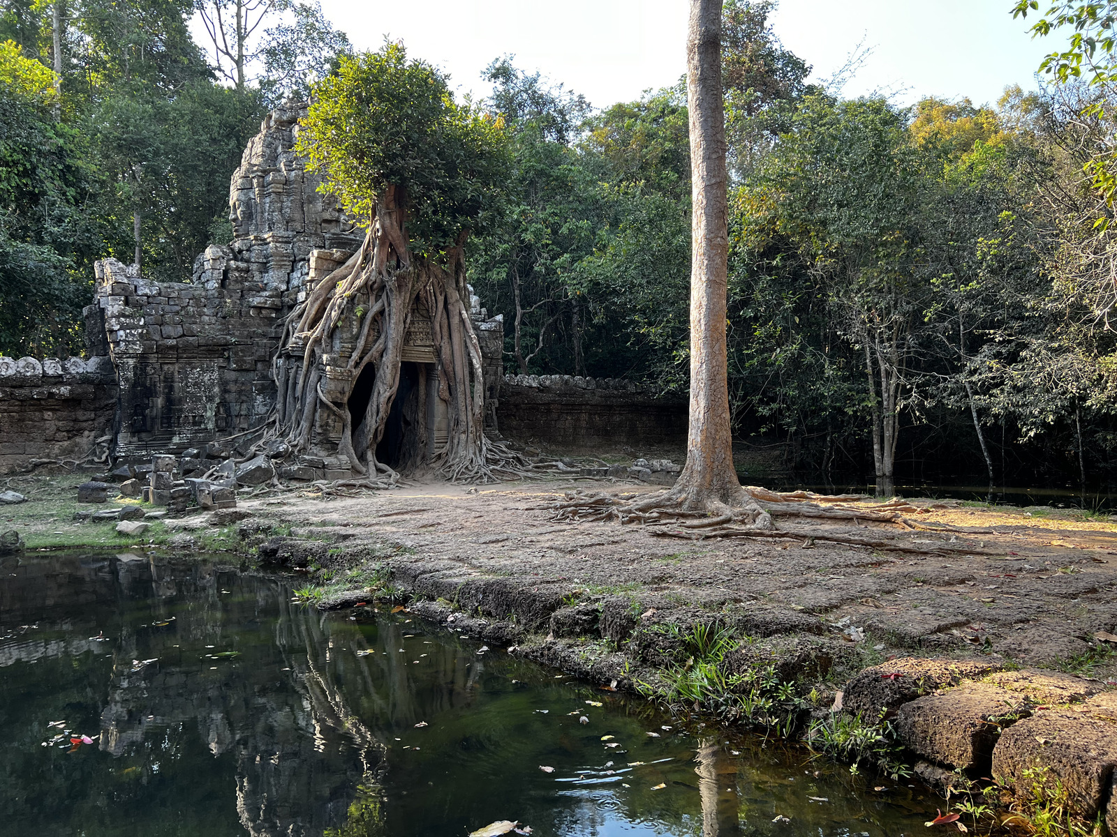 Picture Cambodia Siem Reap Ta Som 2023-01 3 - Sight Ta Som