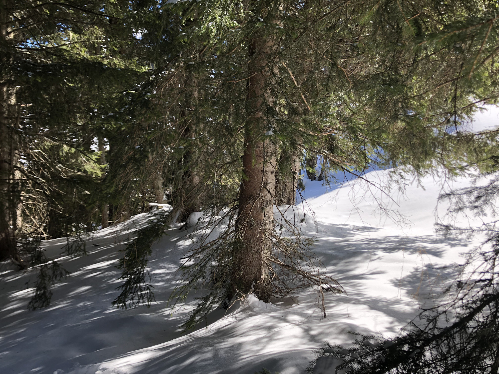 Picture France Megeve 2019-03 59 - View Megeve