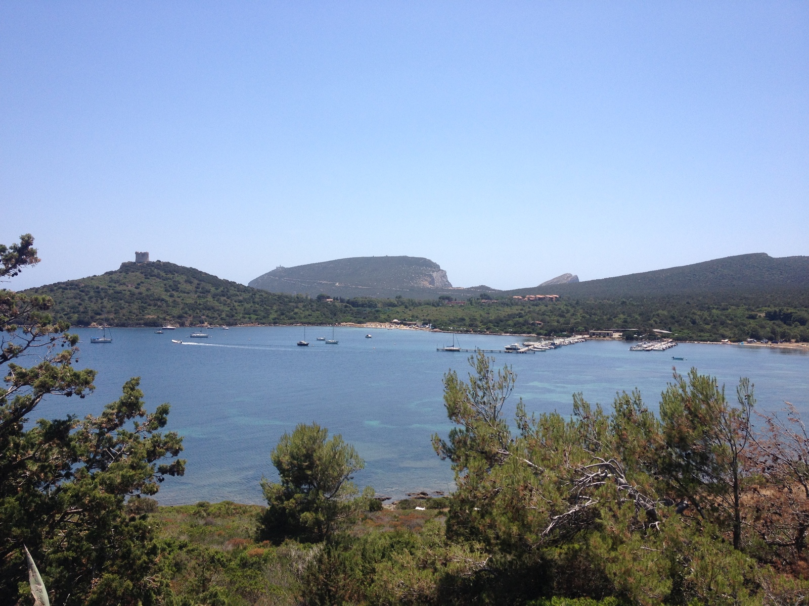 Picture Italy Sardinia Porto Conte Regional Natural Park 2015-06 27 - Perspective Porto Conte Regional Natural Park