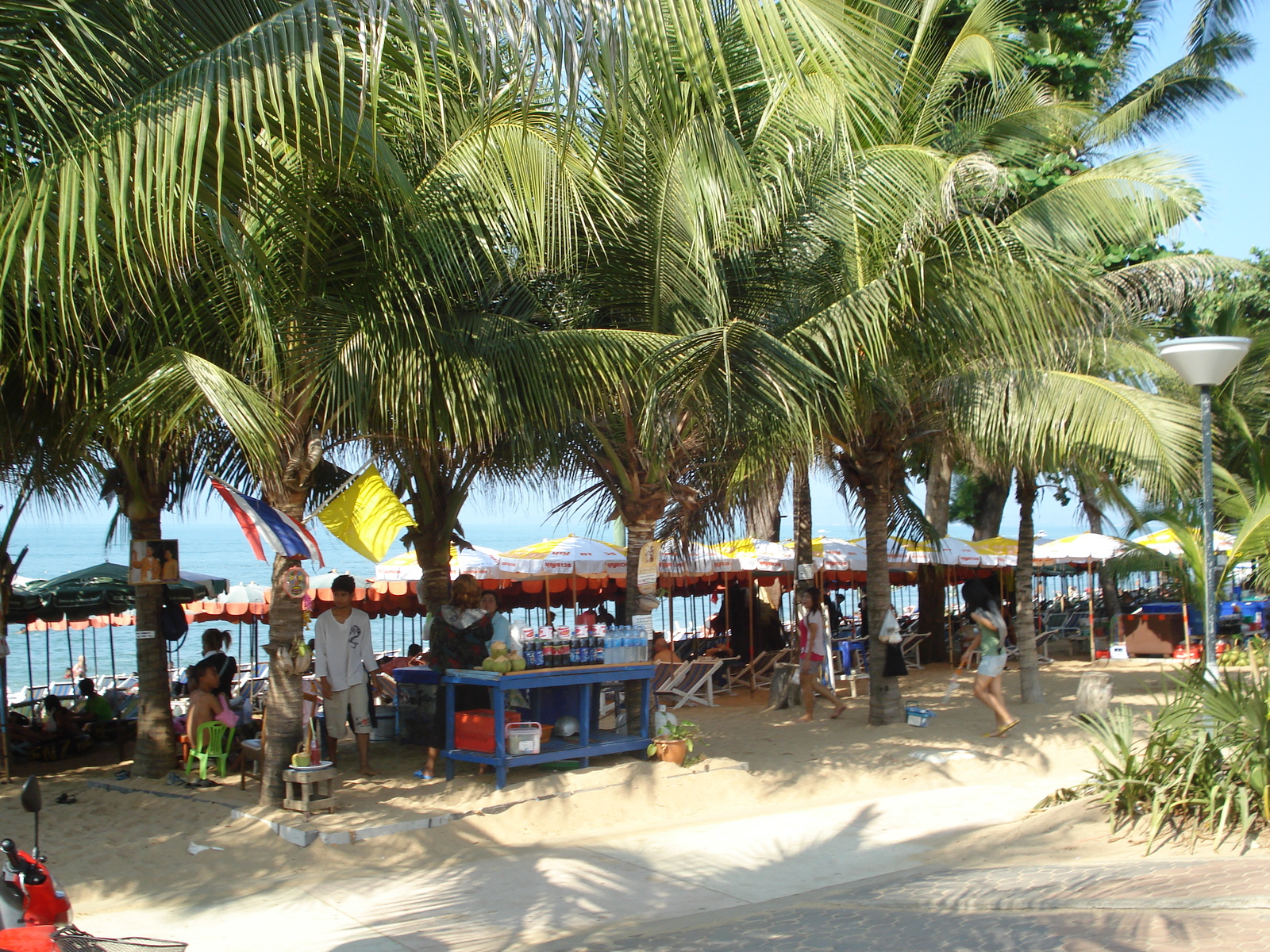 Picture Thailand Jomtien Jomtien Seashore 2008-01 56 - Photos Jomtien Seashore