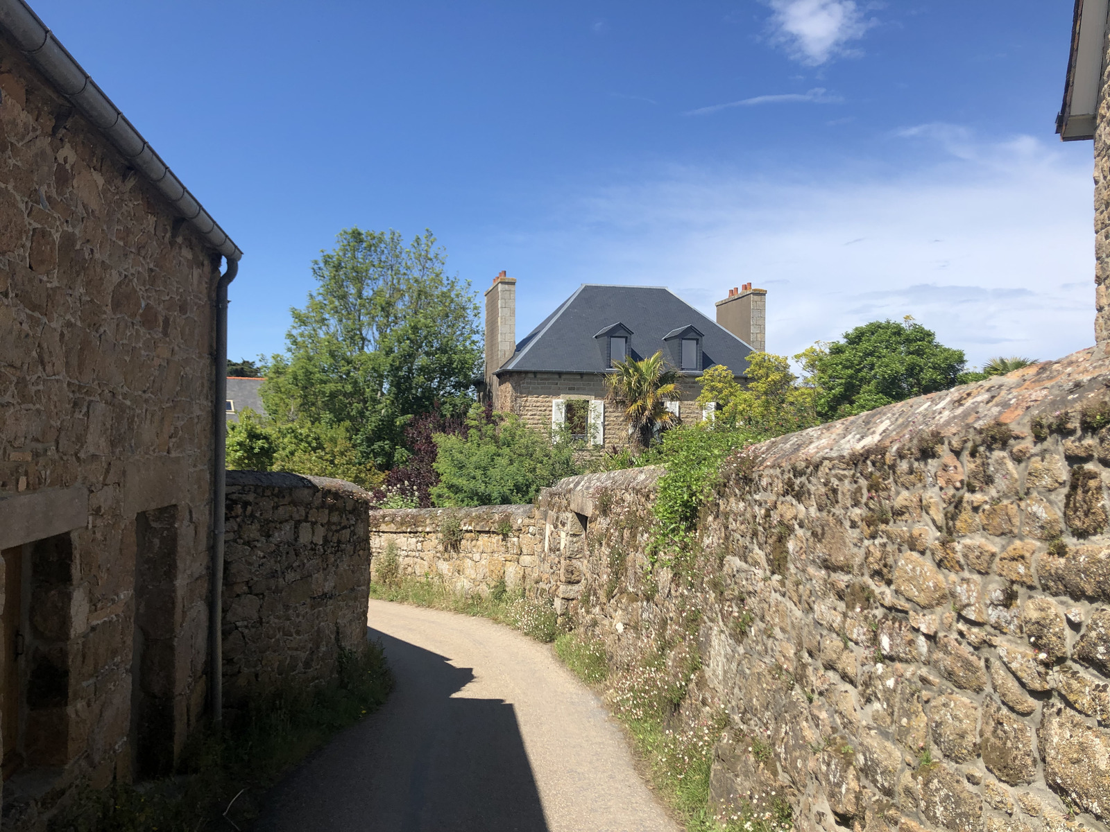 Picture France Brehat Island 2020-06 152 - Tourist Attraction Brehat Island