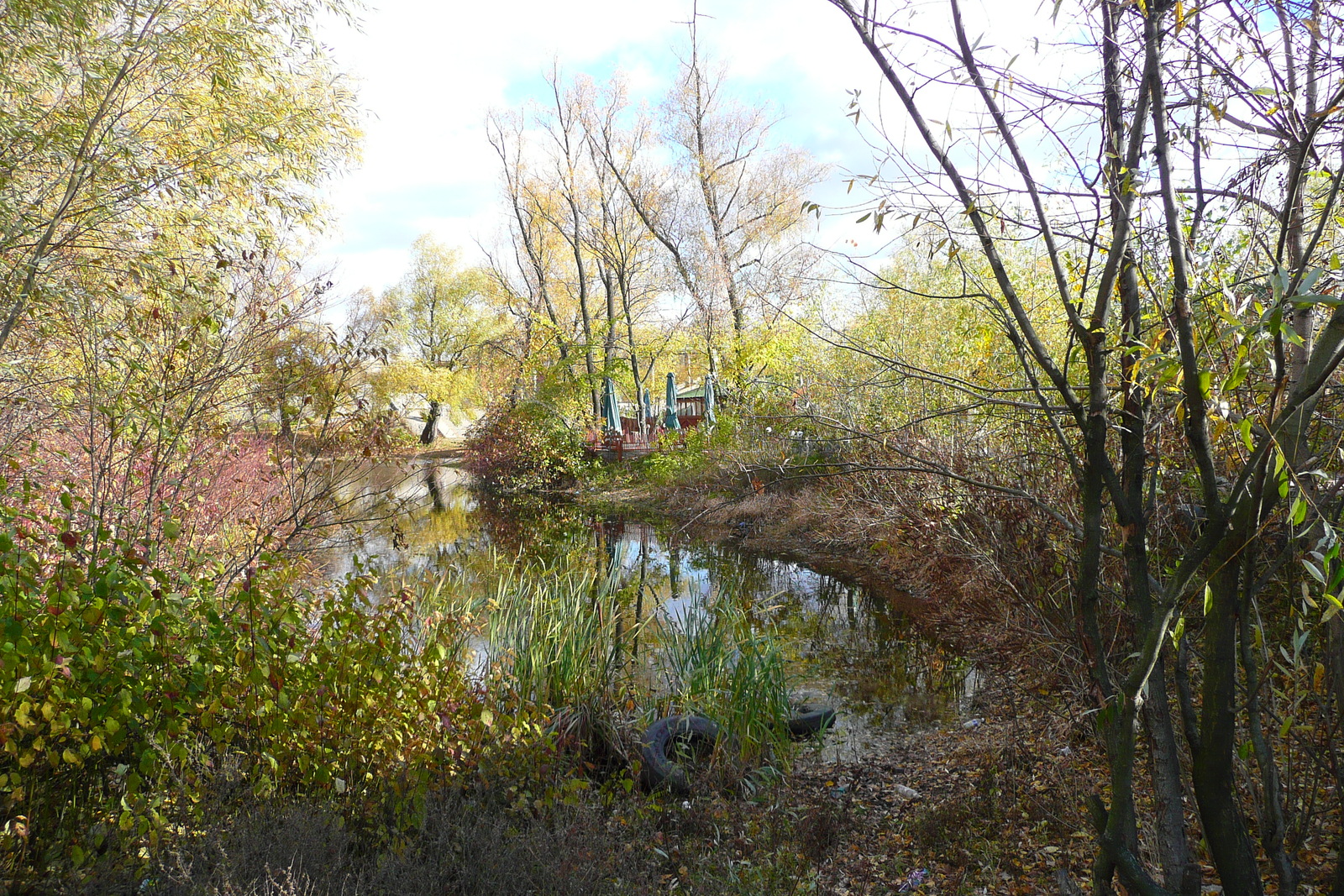 Picture Ukraine Kiev Hydropark 2007-11 10 - Trail Hydropark