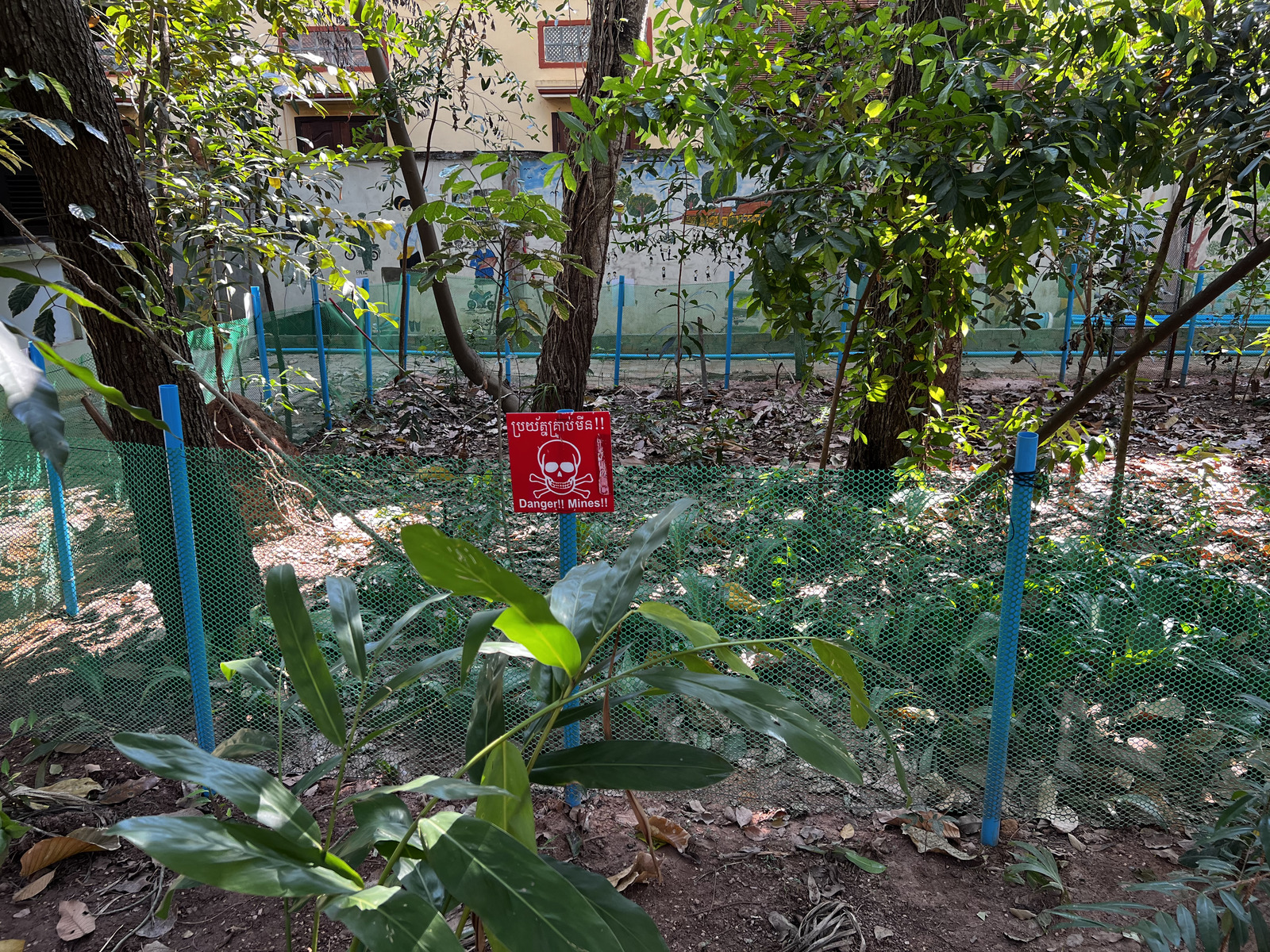 Picture Cambodia Siem Reap Cambodia Landmine Museum 2023-01 11 - Randonee Cambodia Landmine Museum