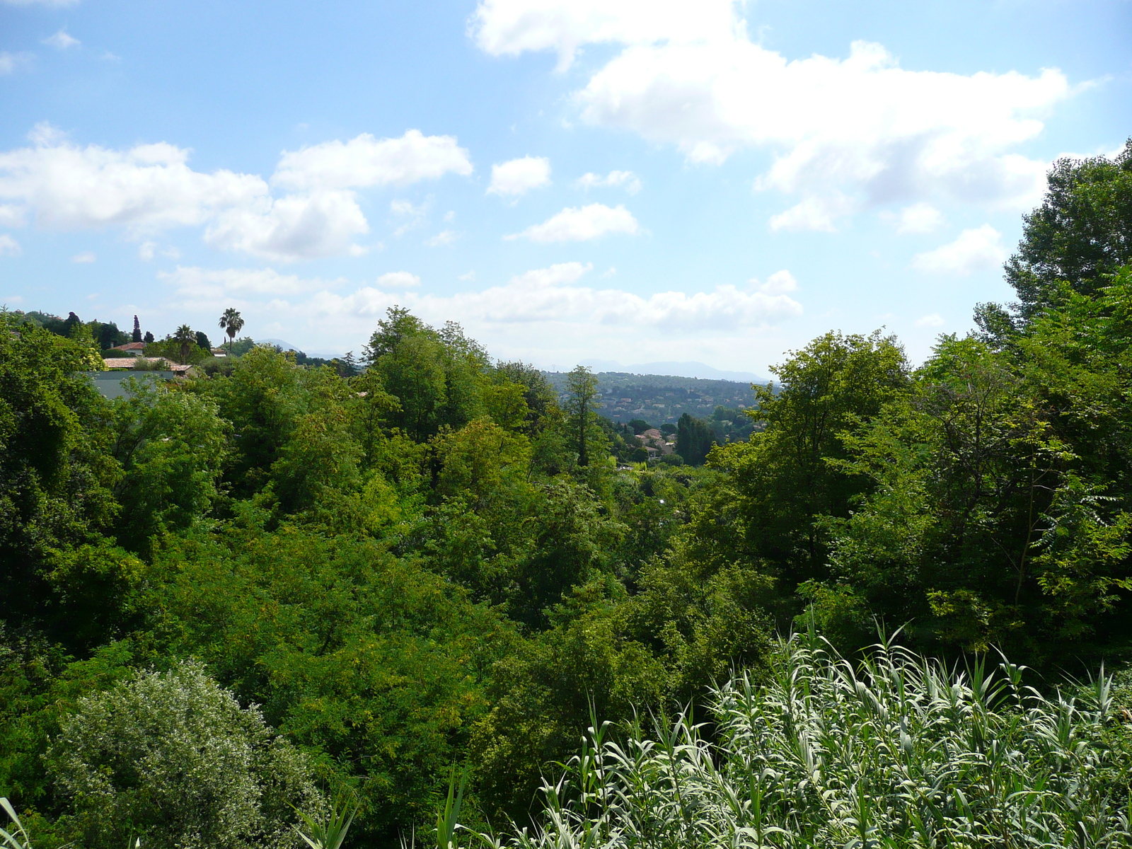 Picture France Vence Avenue H. Isnard 2007-07 35 - Photographer Avenue H. Isnard