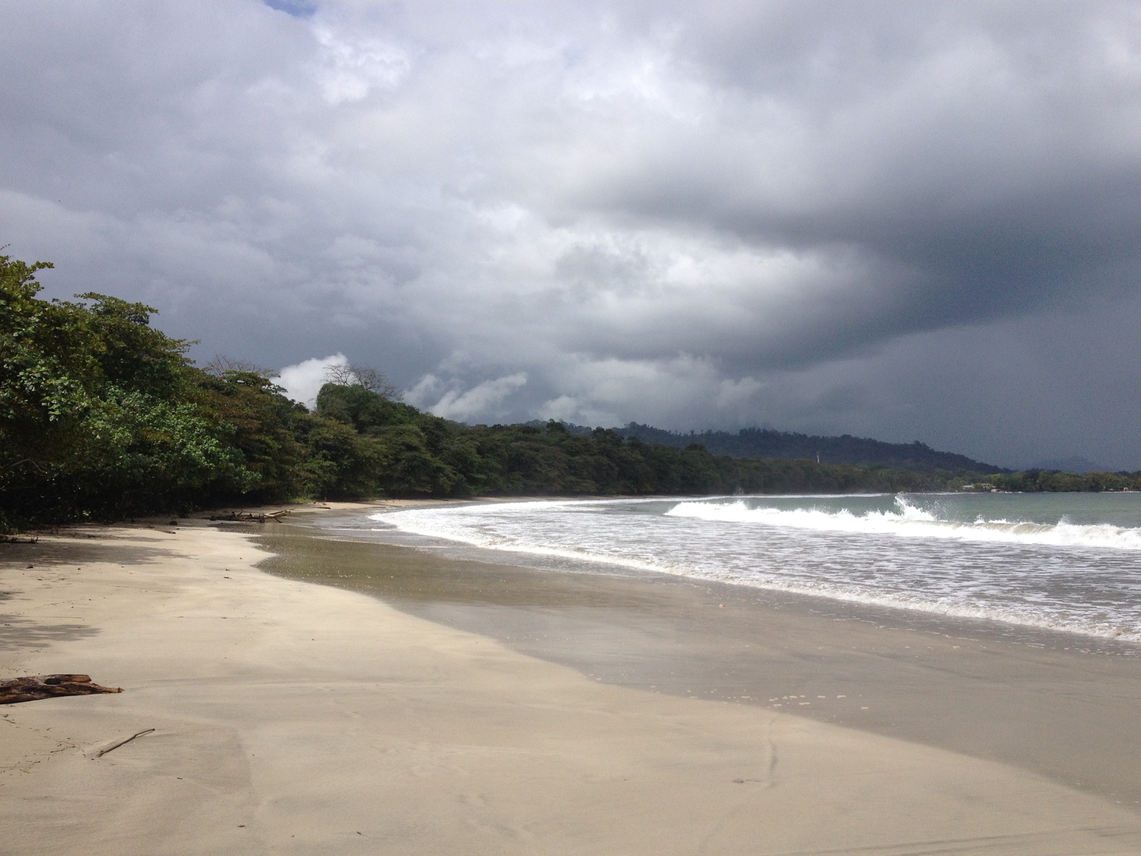 Picture Costa Rica 2015-03 33 - Trail Costa Rica