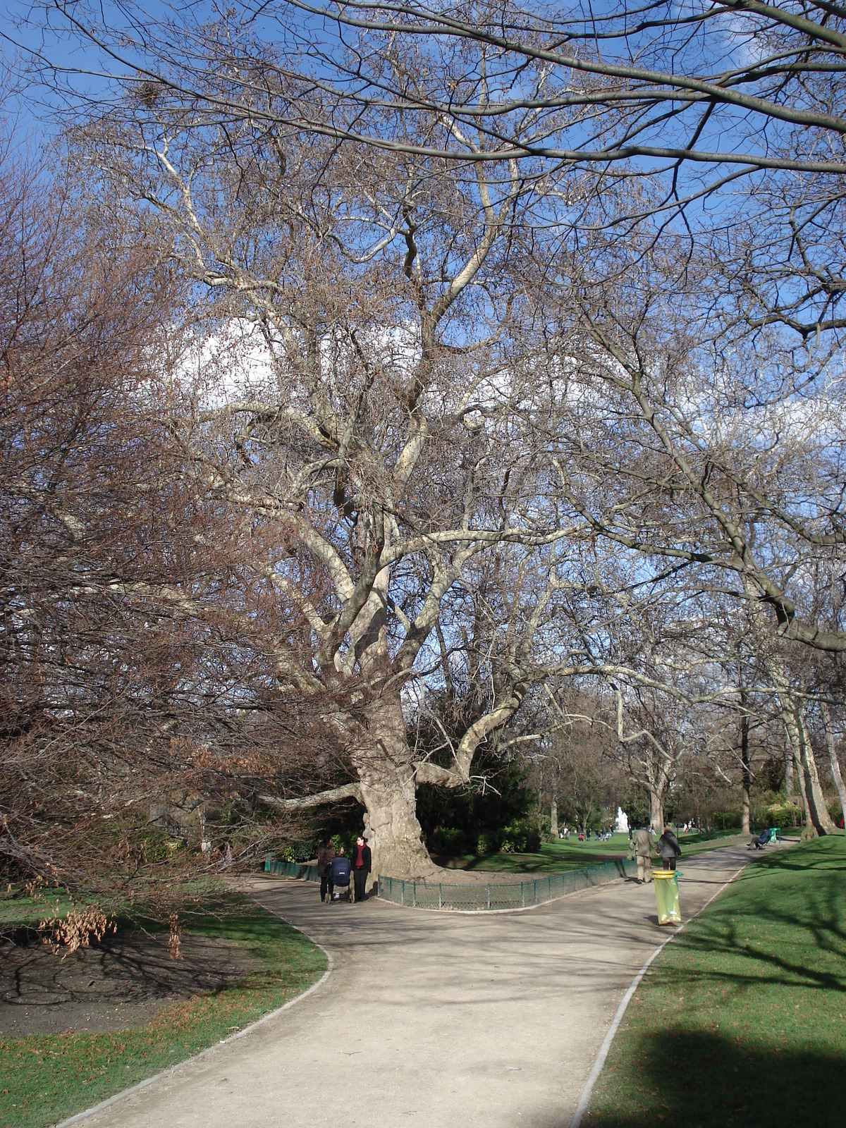 Picture France Paris Monceau Garden 2006-03 44 - Trail Monceau Garden