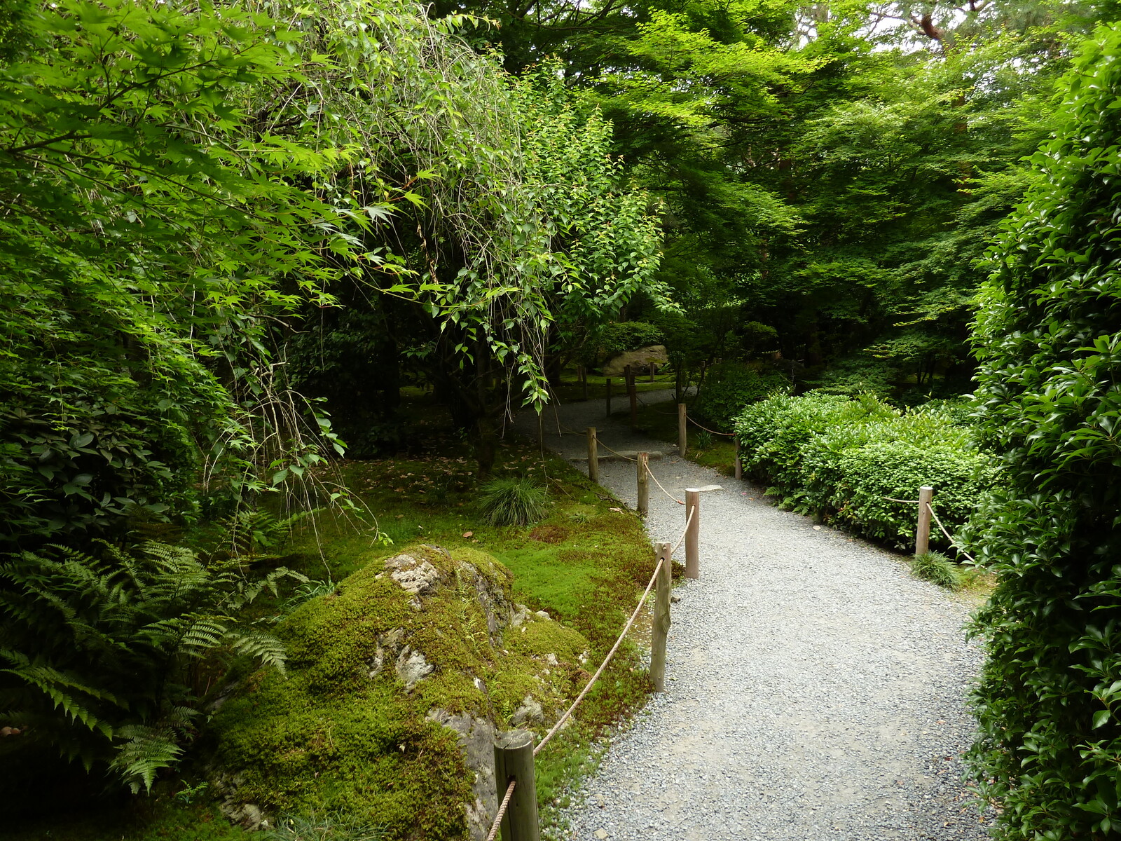 Picture Japan Kyoto Ryoanji Temple 2010-06 36 - Sight Ryoanji Temple