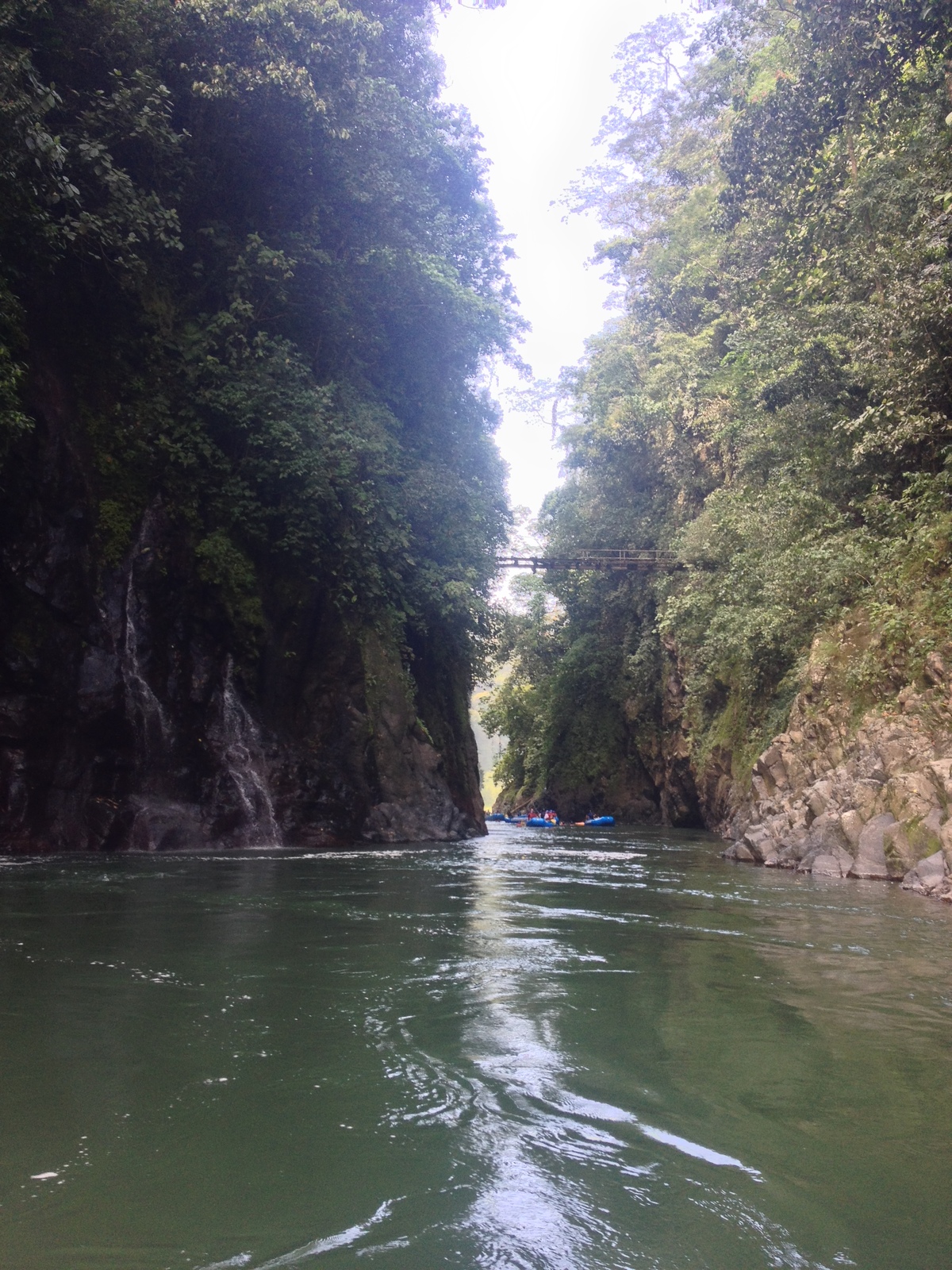 Picture Costa Rica Pacuare River 2015-03 155 - Trail Pacuare River