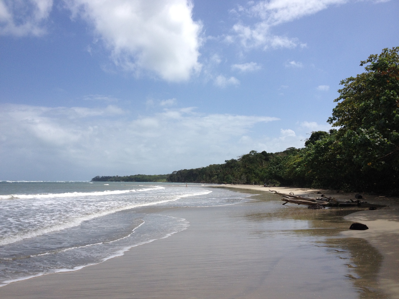 Picture Costa Rica Cahuita 2015-03 210 - Tourist Attraction Cahuita