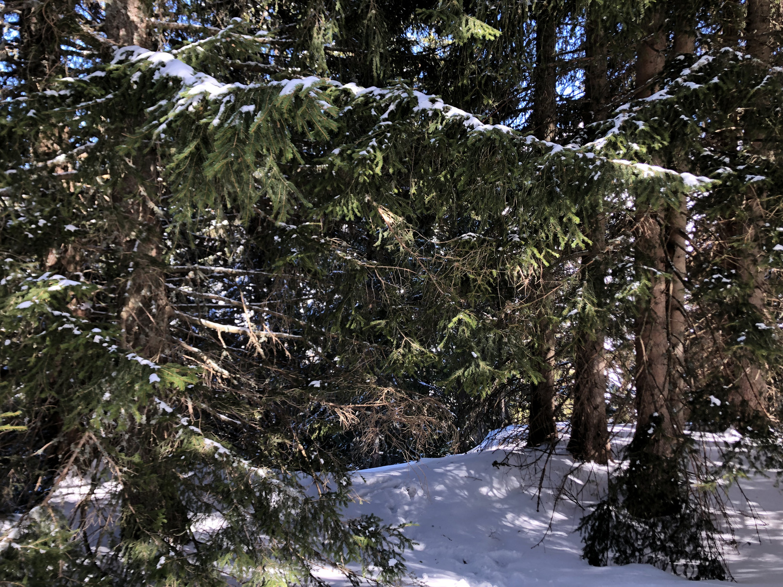 Picture France Megeve 2019-03 87 - Views Megeve