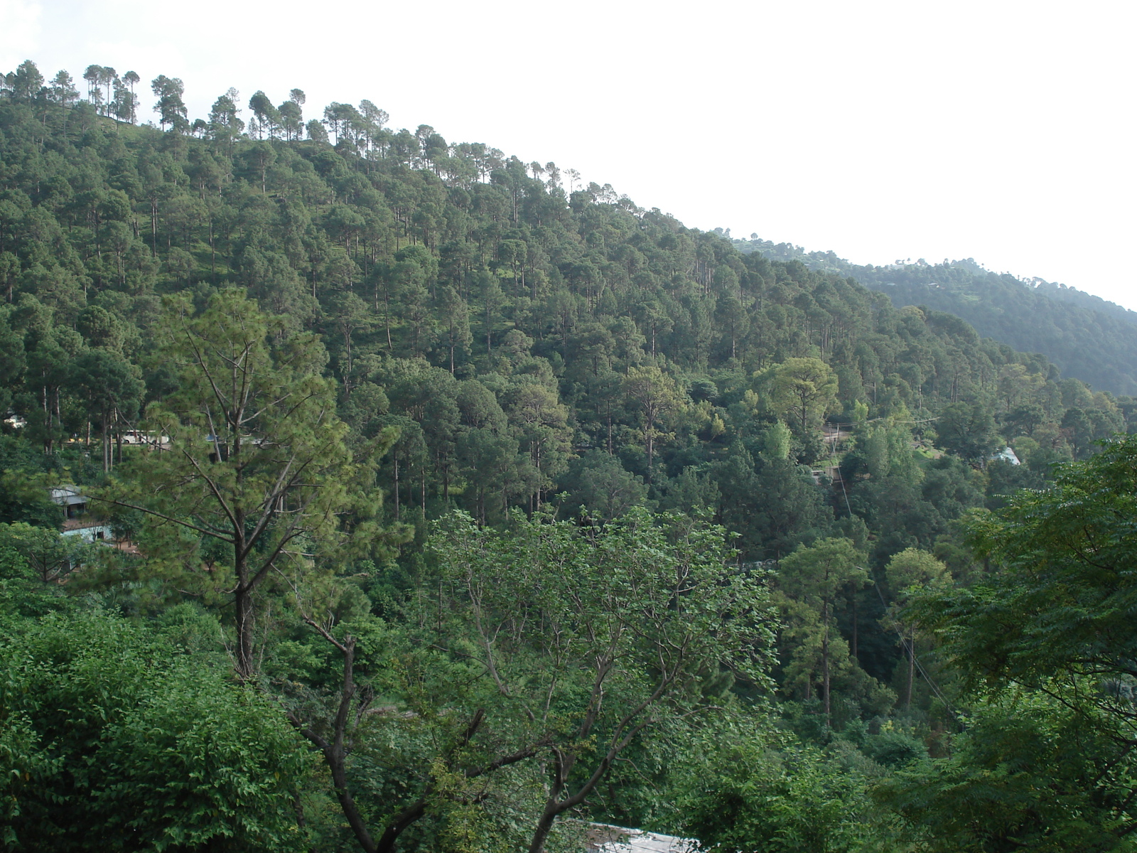 Picture Pakistan Islamabad to Murree road 2006-08 1 - Photographers Islamabad to Murree road