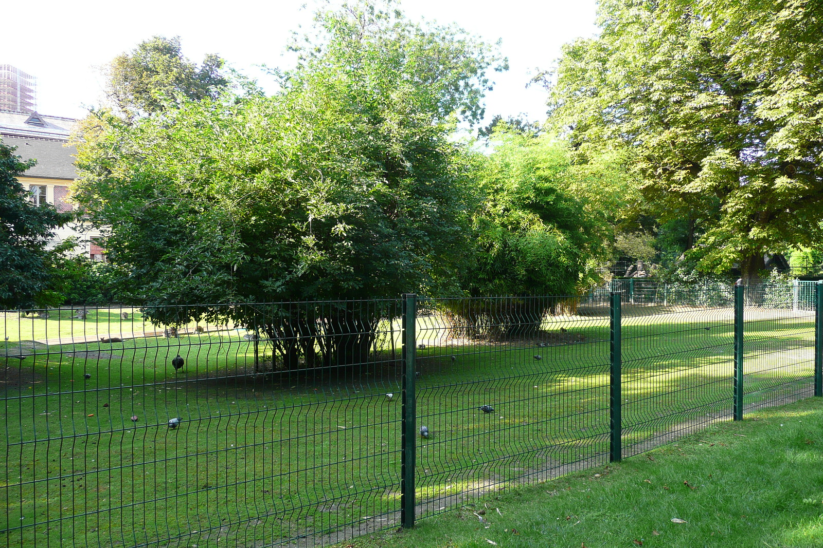 Picture France Paris Jardin des Plantes 2007-08 89 - Picture Jardin des Plantes