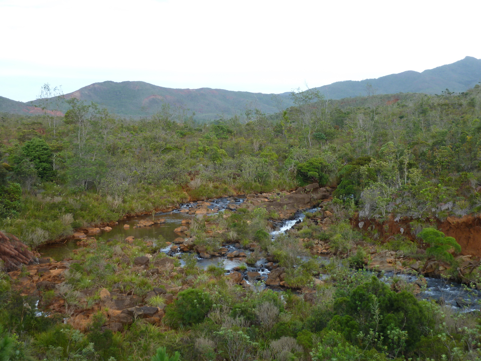 Picture New Caledonia Parc de la Riviere Bleue 2010-05 88 - Pictures Parc de la Riviere Bleue