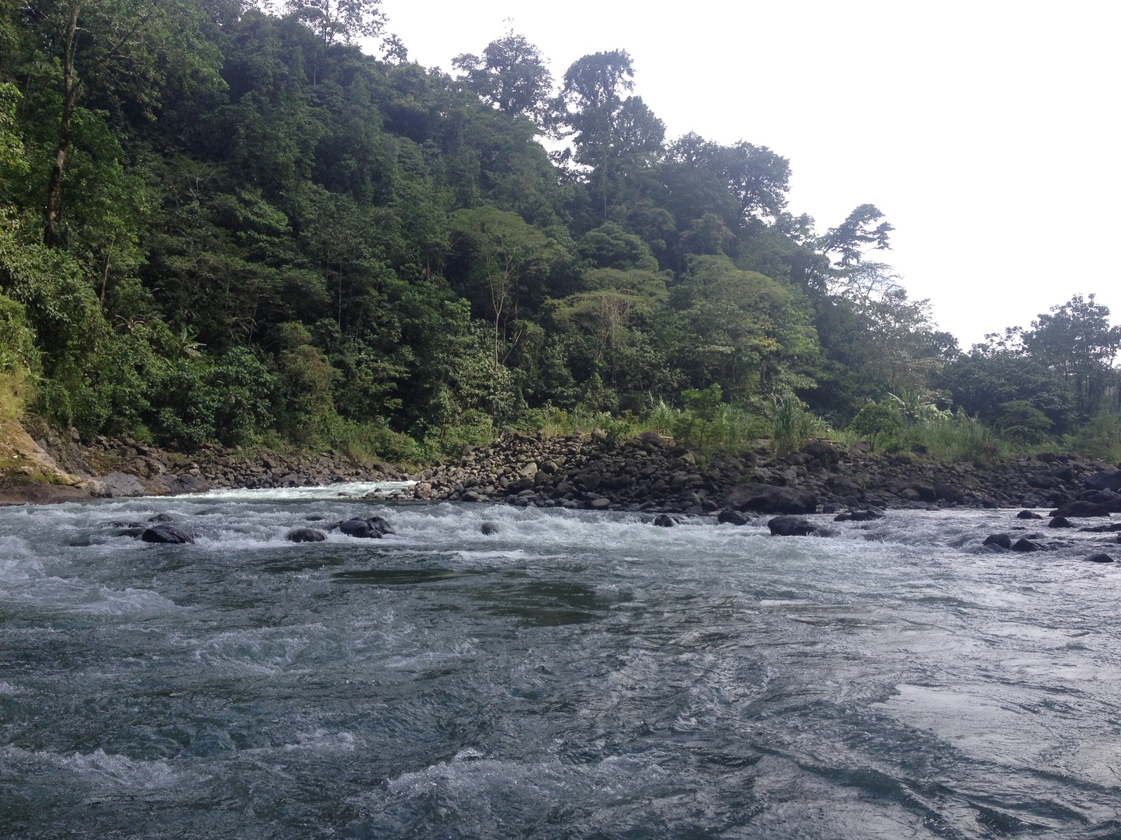 Picture Costa Rica Pacuare River 2015-03 118 - Car Rental Pacuare River