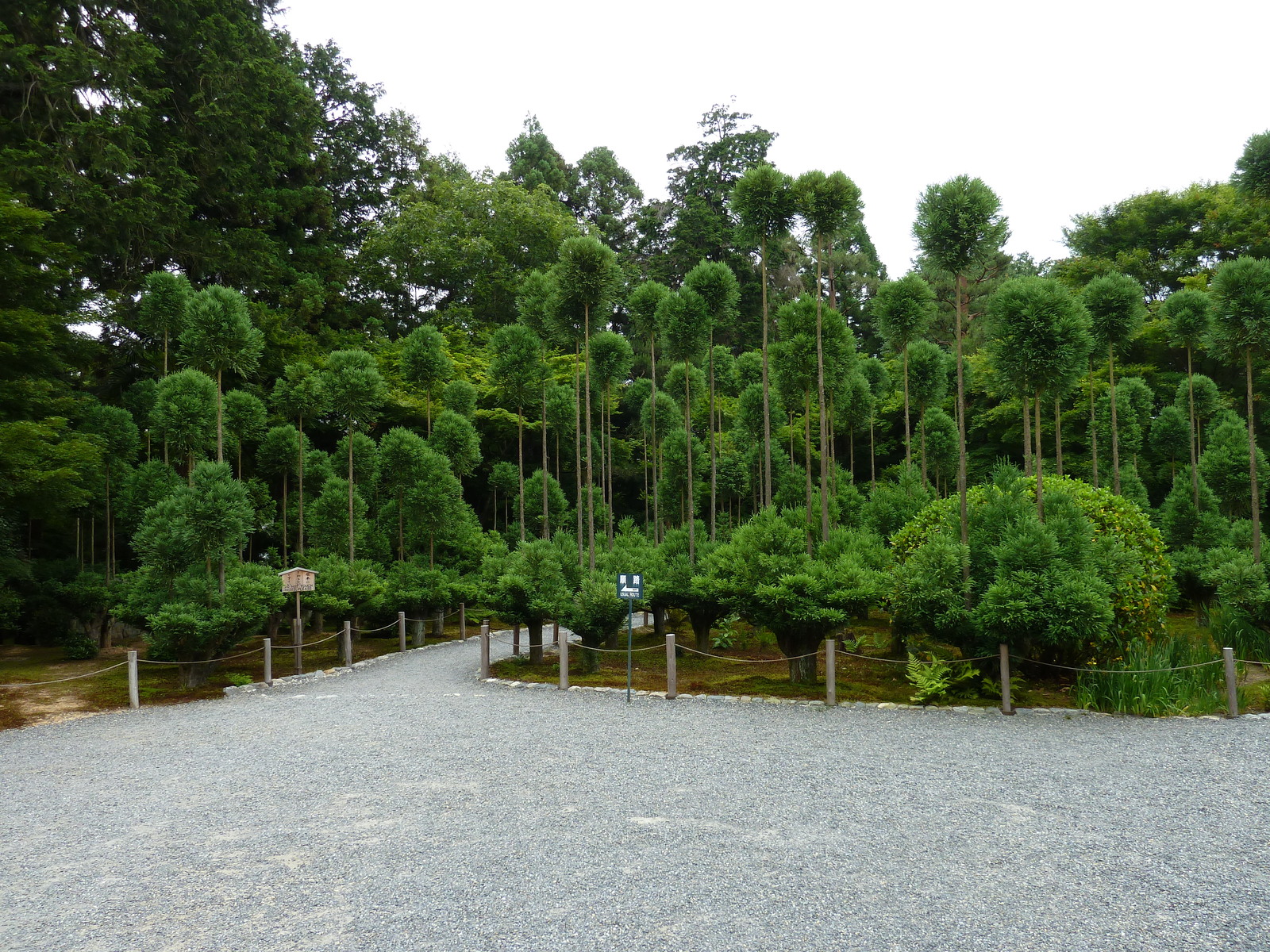 Picture Japan Kyoto Ryoanji Temple 2010-06 25 - View Ryoanji Temple