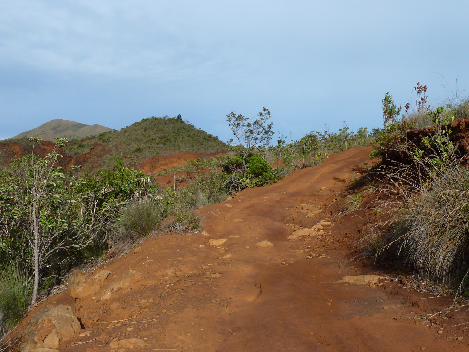 Picture New Caledonia Parc de la Riviere Bleue 2010-05 117 - Travels Parc de la Riviere Bleue