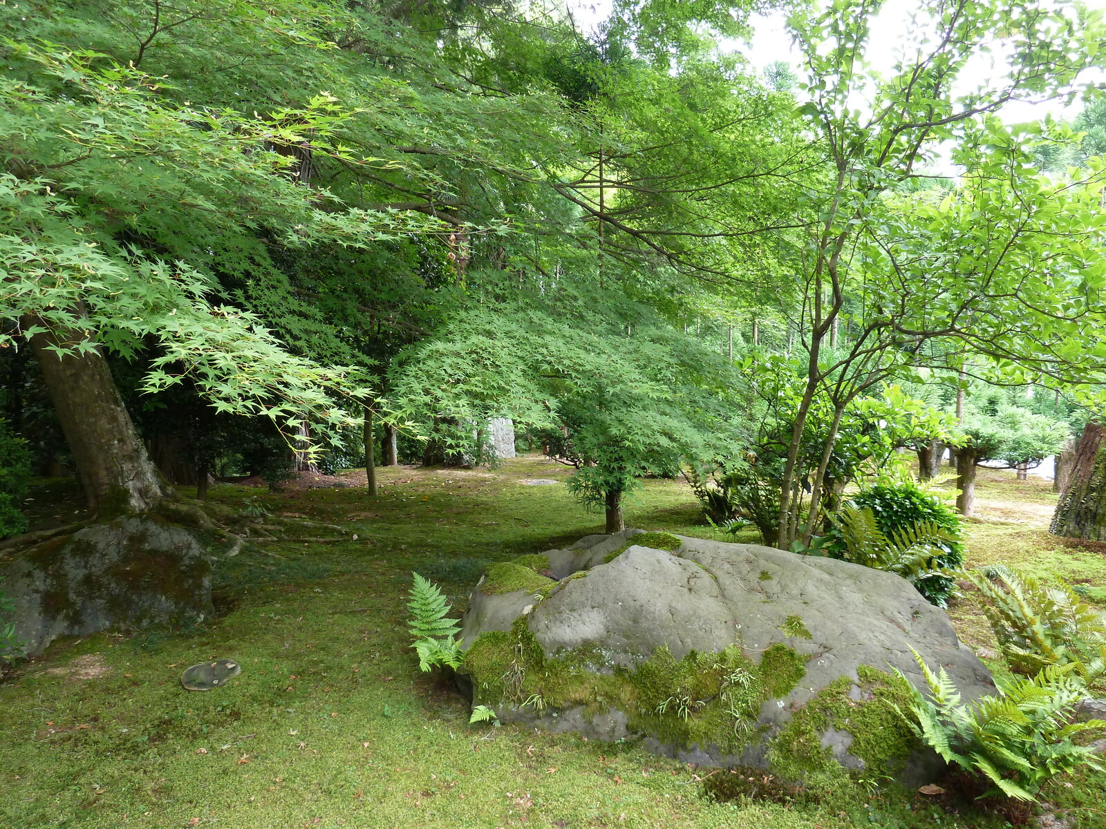 Picture Japan Kyoto Ryoanji Temple 2010-06 28 - Pictures Ryoanji Temple