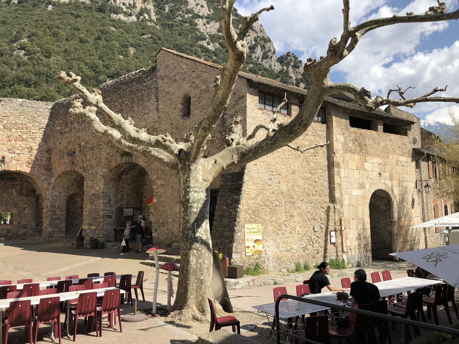 Picture France Villefranche de Conflent 2018-04 10 - Flight Villefranche de Conflent