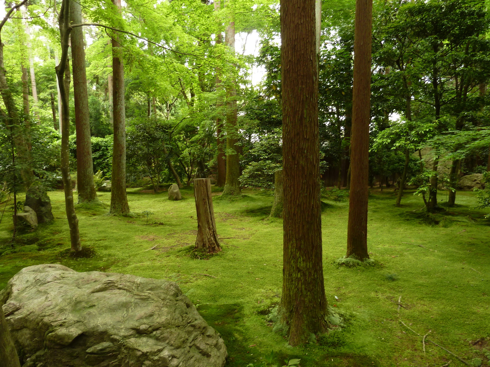 Picture Japan Kyoto Ryoanji Temple 2010-06 53 - Discover Ryoanji Temple