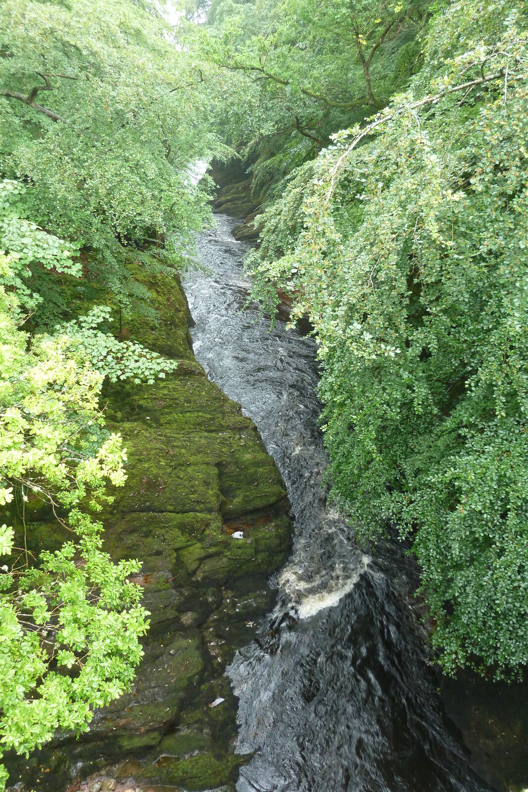 Picture United Kingdom Scotland Brechin 2011-07 2 - Discover Brechin