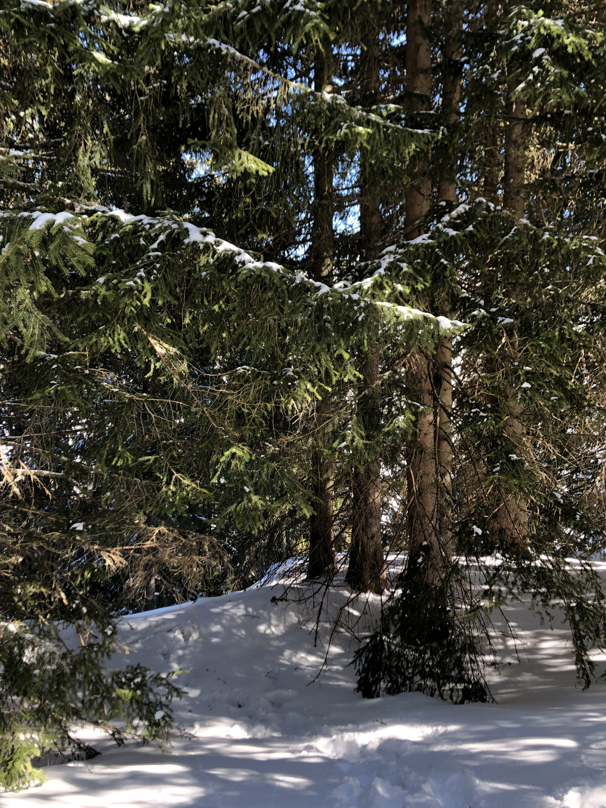 Picture France Megeve 2019-03 20 - Perspective Megeve