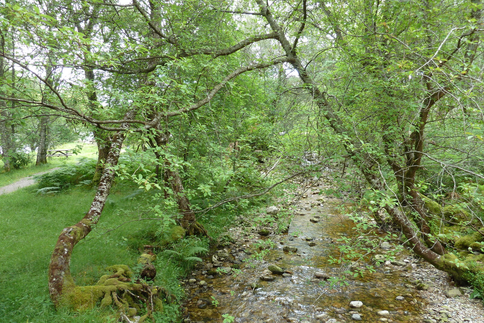 Picture United Kingdom Scotland Loch Maree 2011-07 26 - Photo Loch Maree