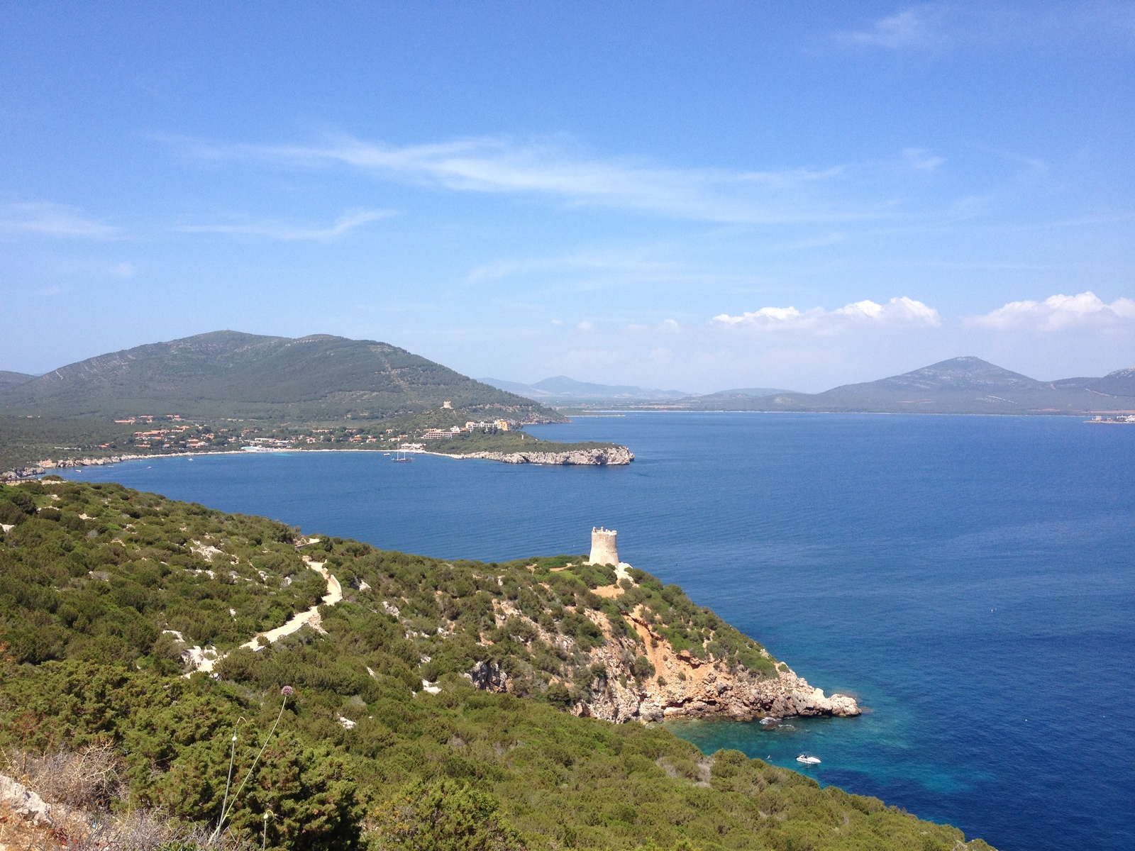 Picture Italy Sardinia Porto Conte Regional Natural Park 2015-06 38 - Flight Porto Conte Regional Natural Park