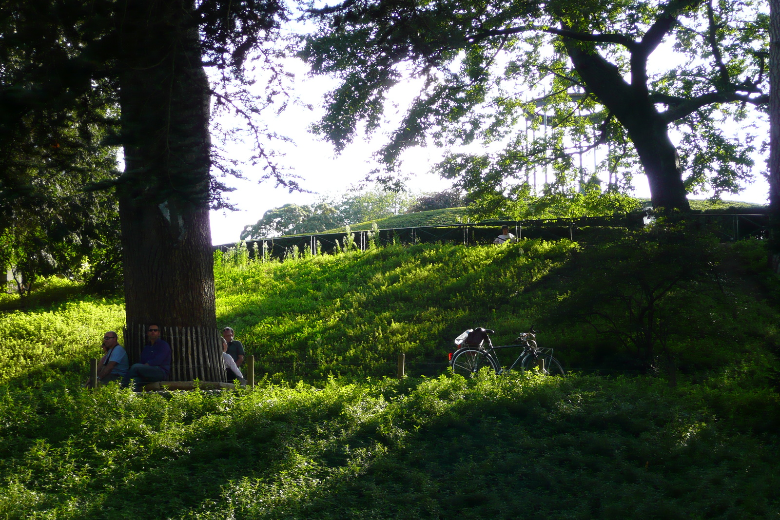 Picture France Paris Jardin des Plantes 2007-08 79 - Pictures Jardin des Plantes