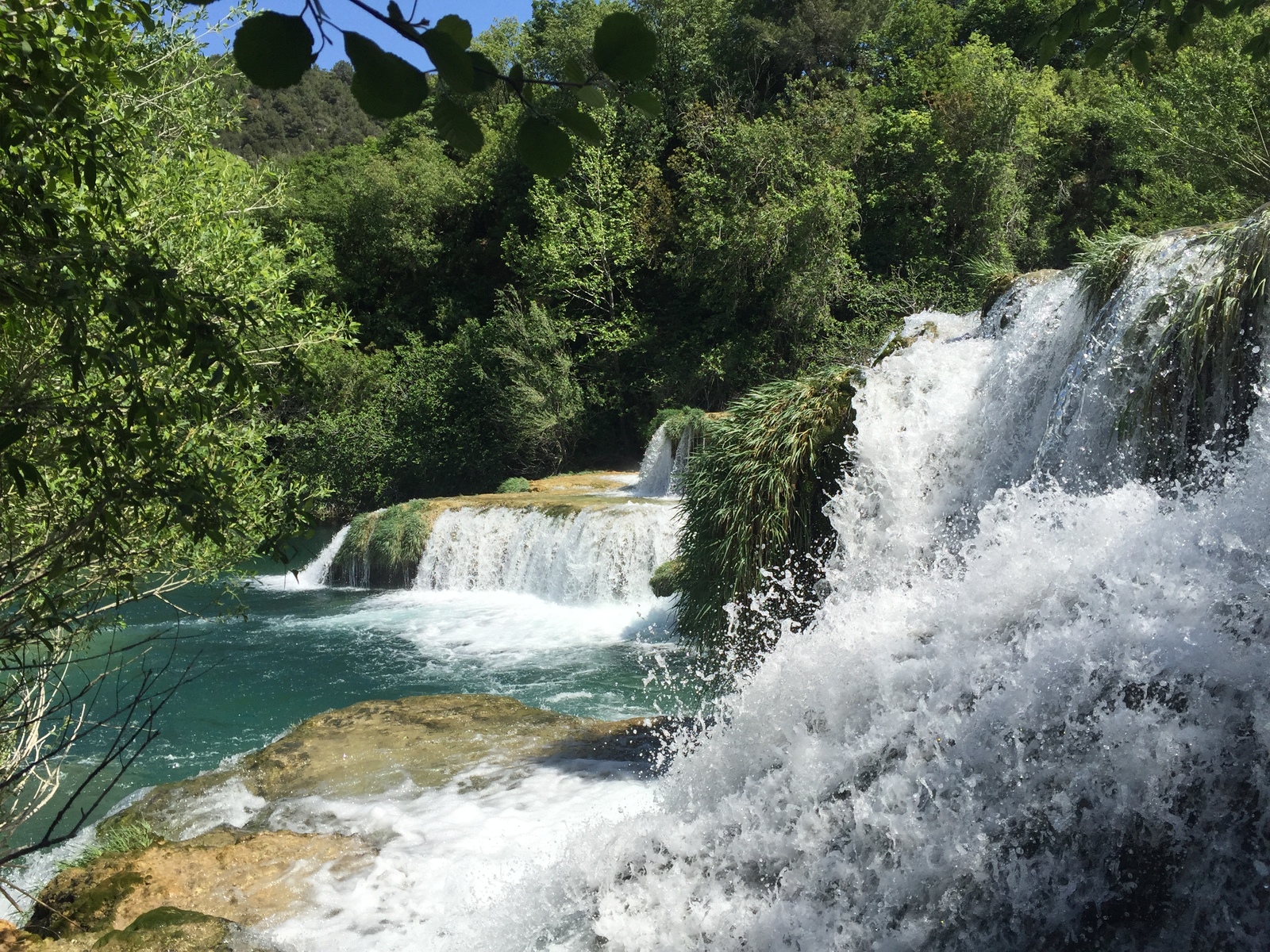 Picture Croatia Krka National Park 2016-04 40 - Trips Krka National Park