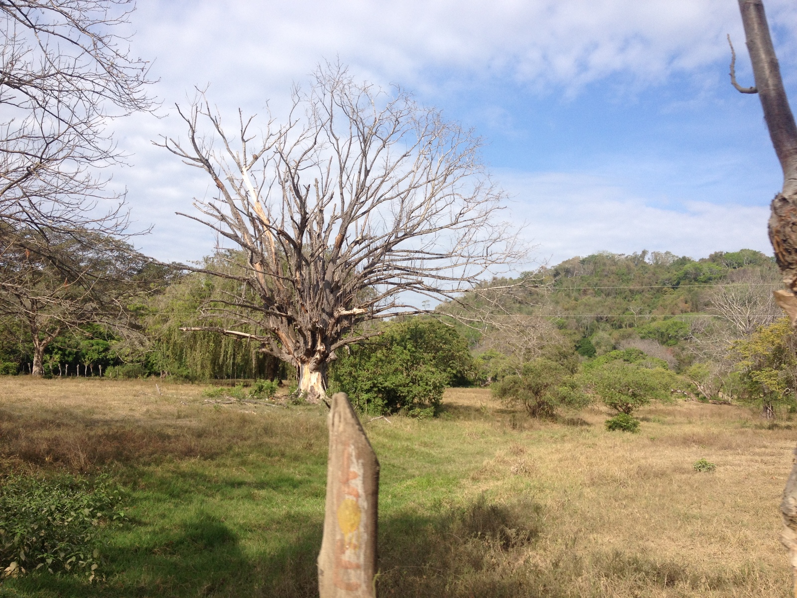 Picture Costa Rica Montezuma 2015-03 97 - Discover Montezuma