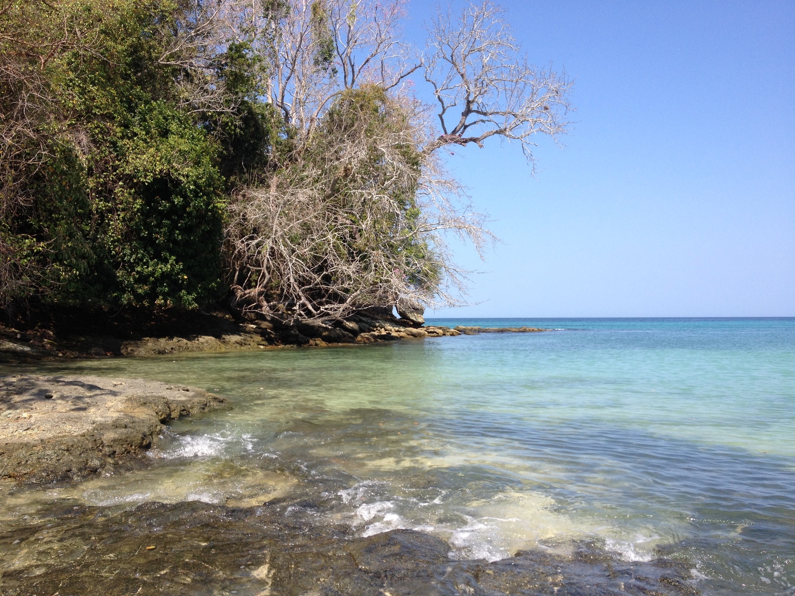 Picture Panama Contadora Island 2015-03 29 - Discover Contadora Island