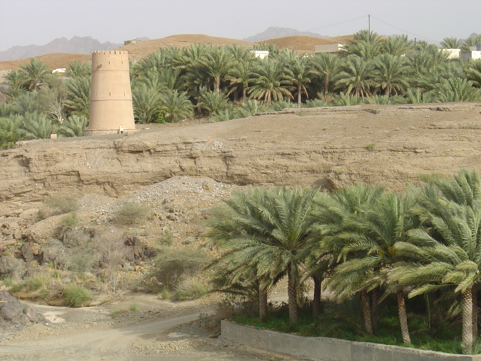 Picture Sultanate of Oman Buraimi to Sohar road 2005-03 21 - Perspective Buraimi to Sohar road