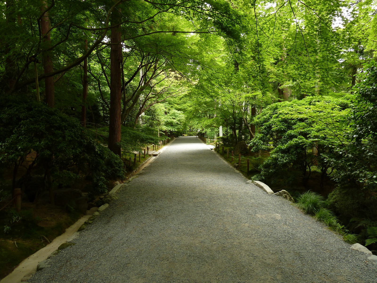 Picture Japan Kyoto Ryoanji Temple 2010-06 79 - Car Ryoanji Temple