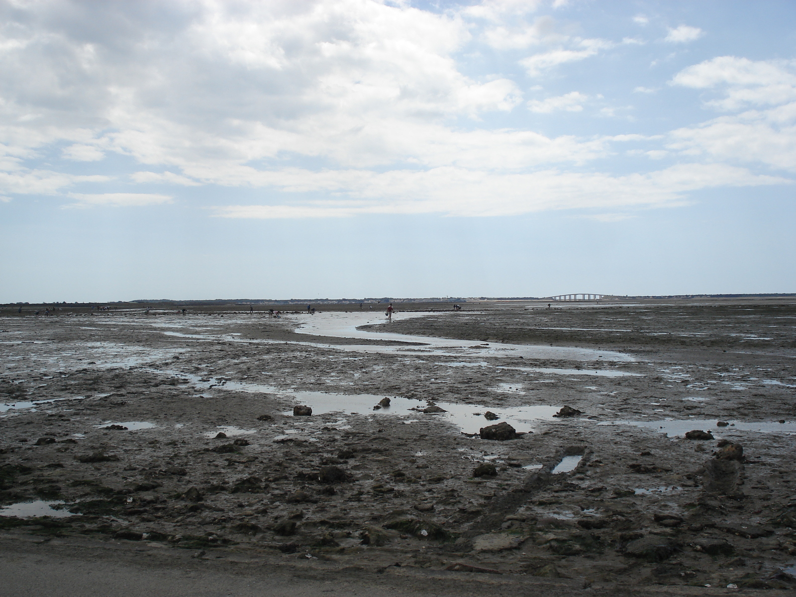 Picture France Le Gois 2006-08 21 - Photographer Le Gois