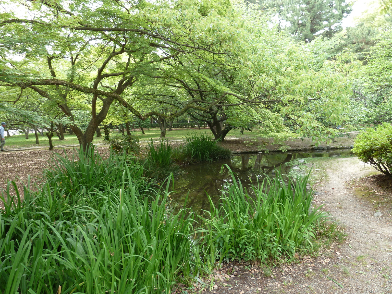 Picture Japan Kyoto Kyoto Gyoen Garden 2010-06 53 - View Kyoto Gyoen Garden