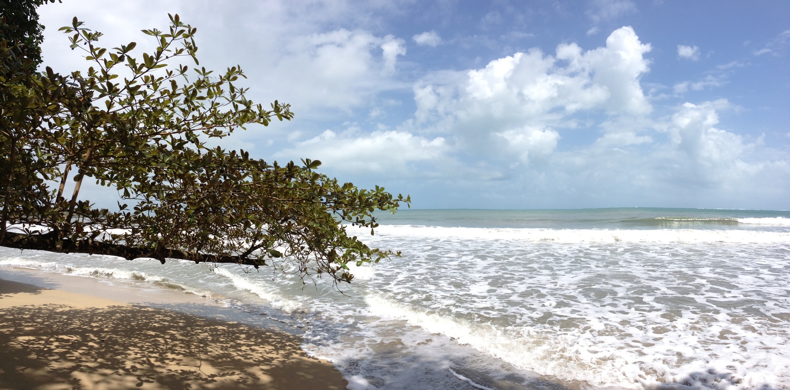 Picture Costa Rica Cahuita 2015-03 177 - Sightseeing Cahuita