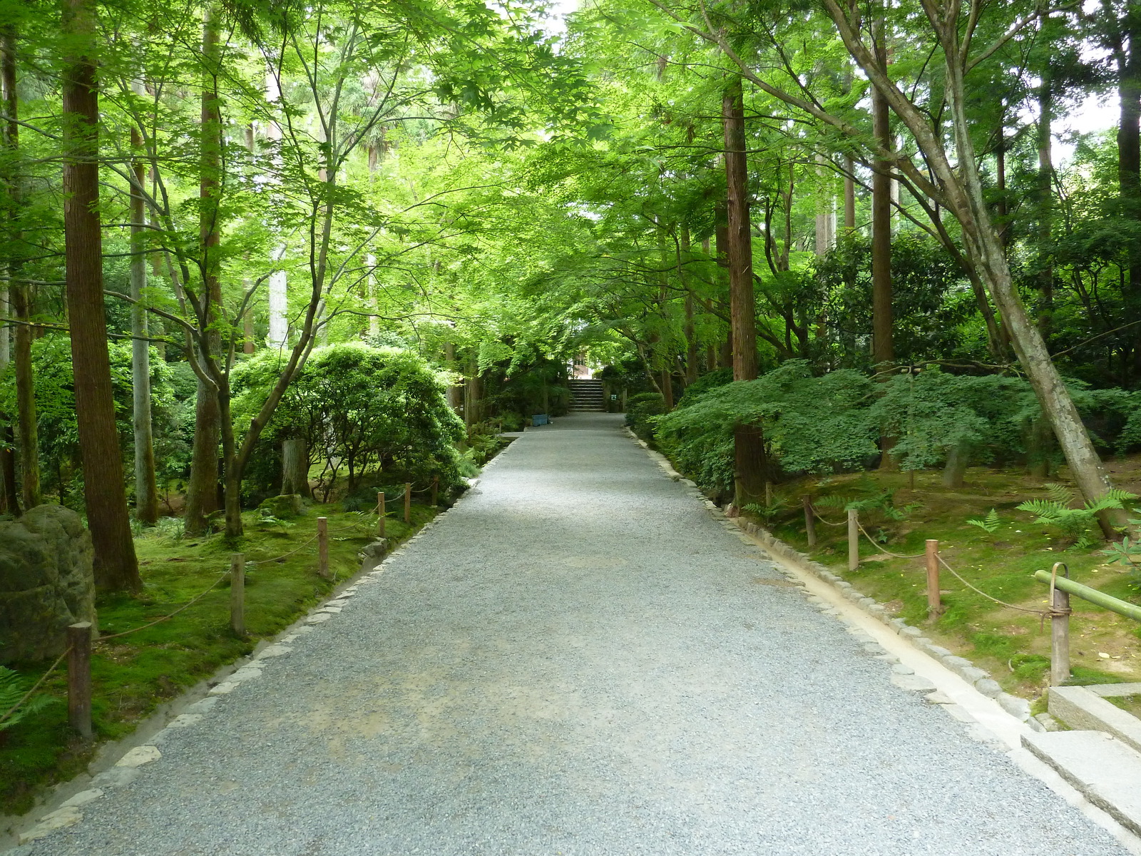 Picture Japan Kyoto Ryoanji Temple 2010-06 50 - View Ryoanji Temple